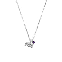 Silver Aquarius Horoscope & Birthstone Necklace