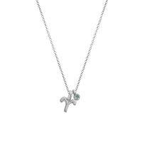 Silver Aries Horoscope & Birthstone Necklace