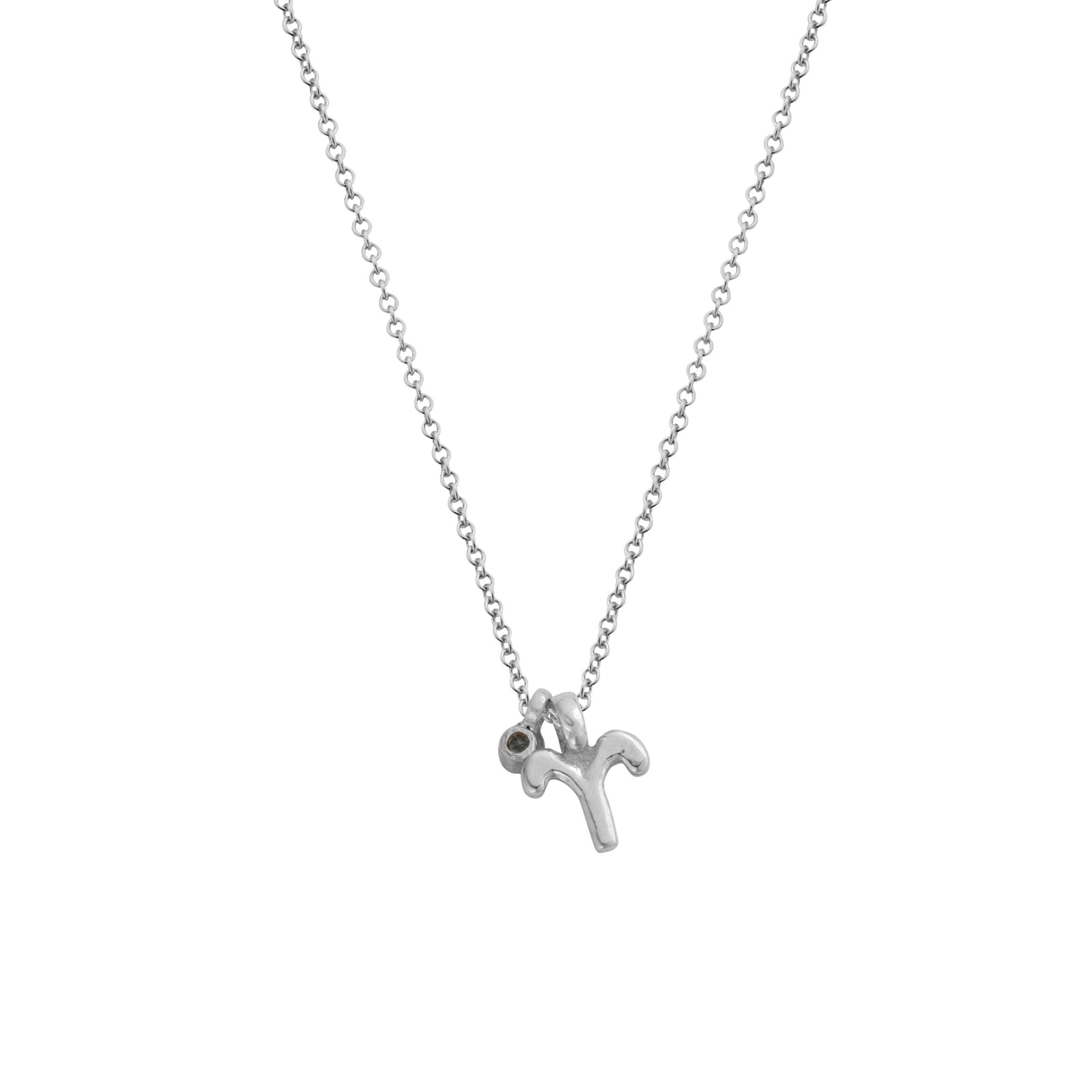 Silver Aries Horoscope & Birthstone Necklace