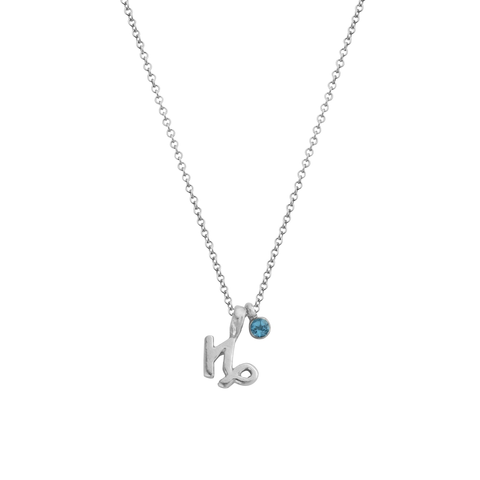Silver Capricorn Horoscope & Birthstone Necklace