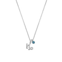 Silver Capricorn Horoscope & Birthstone Necklace