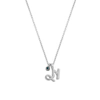 Silver Capricorn Horoscope & Birthstone Necklace