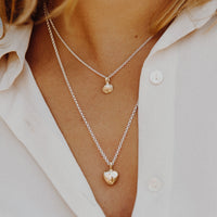 Silver & Gold Baby Shell Necklace