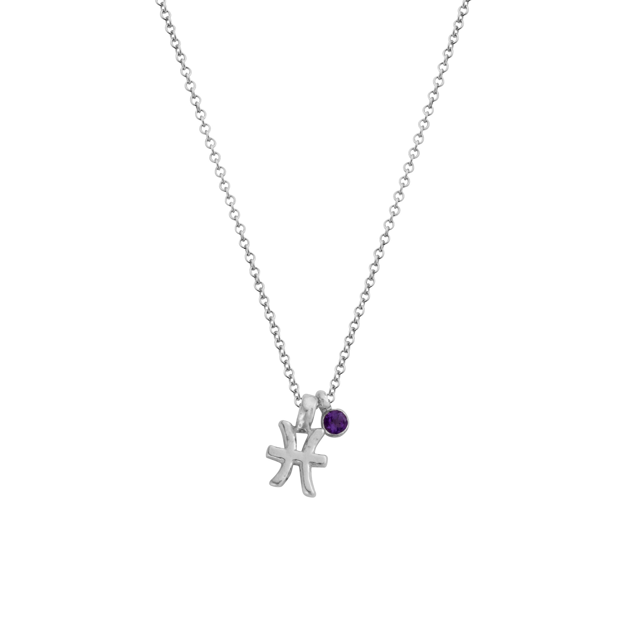 Silver Pisces Horoscope & Birthstone Necklace
