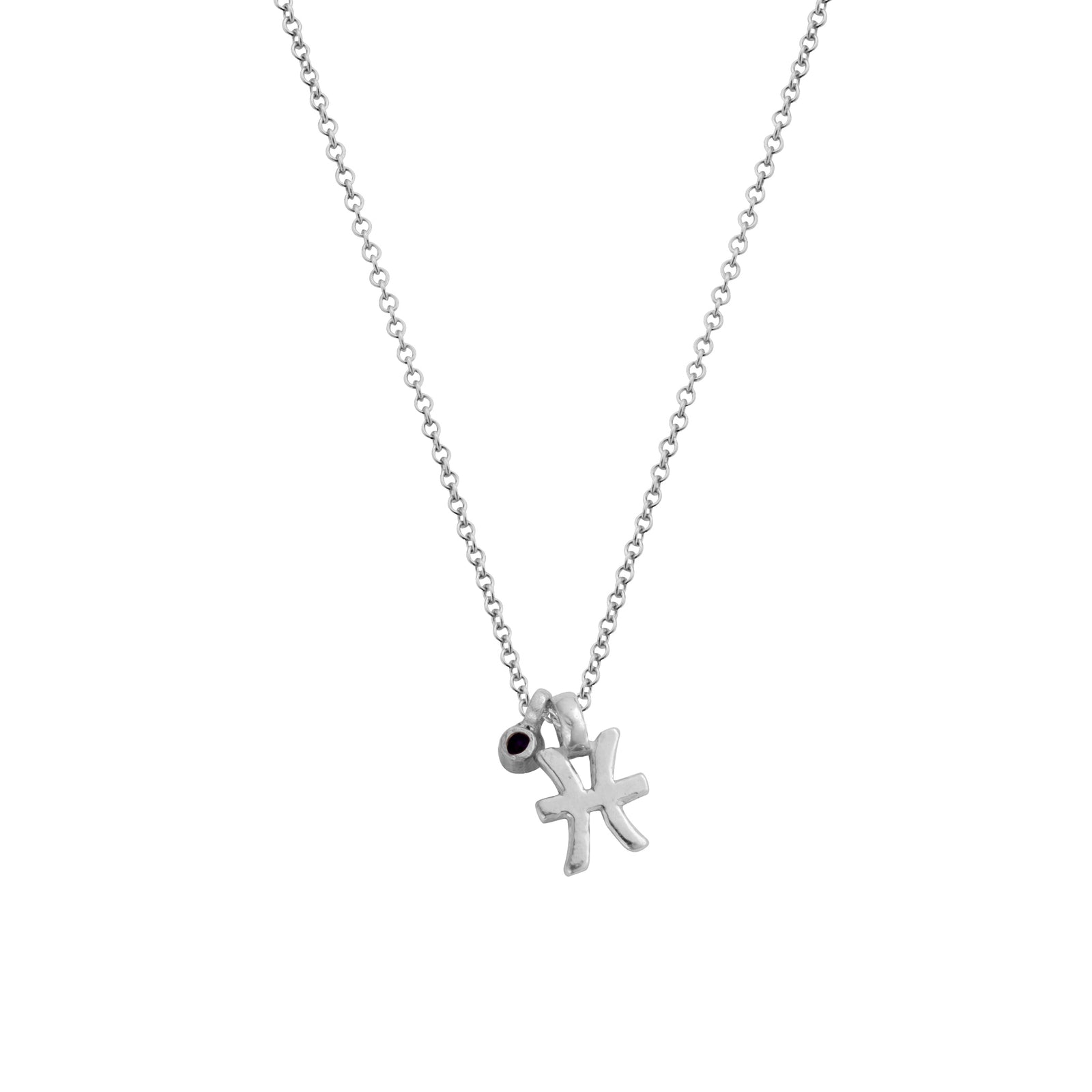 Silver Pisces Horoscope & Birthstone Necklace