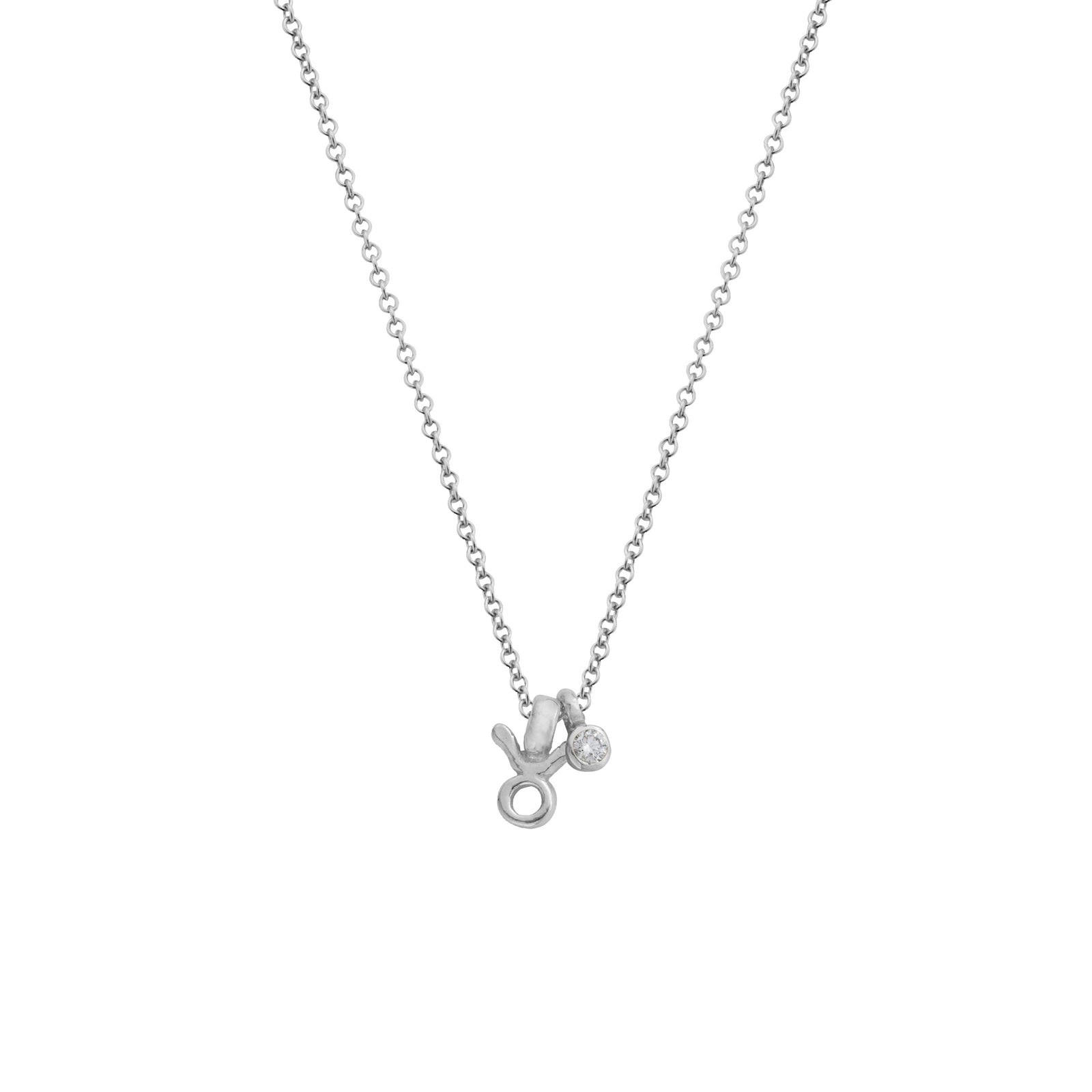 Silver Taurus Horoscope & Birthstone Necklace