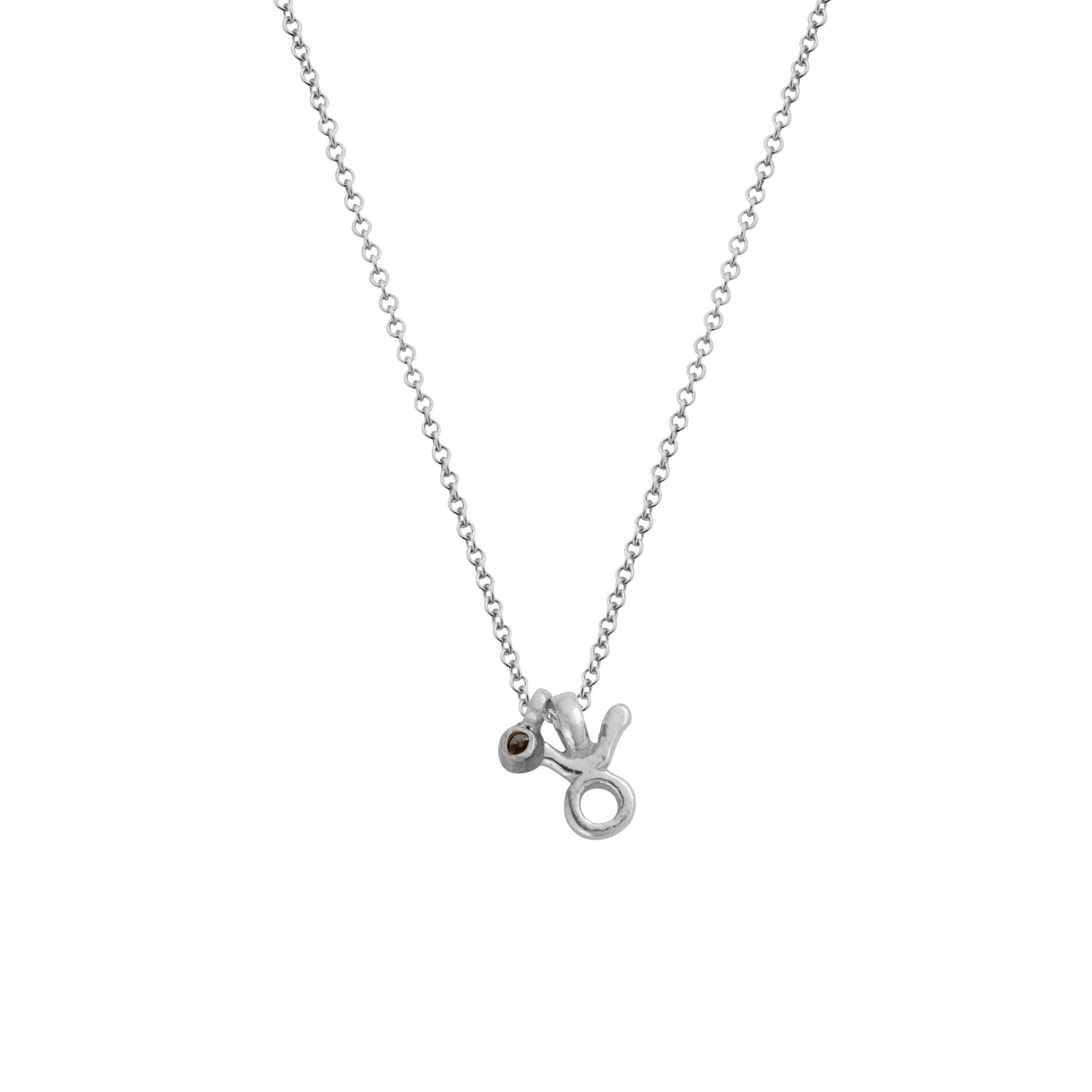 Silver Taurus Horoscope & Birthstone Necklace