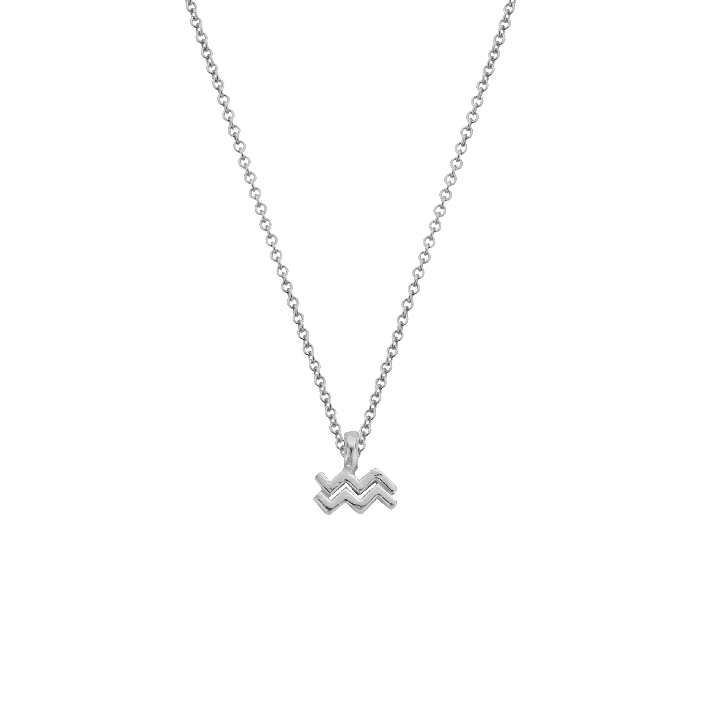 Silver Aquarius Mini Horoscope Necklace