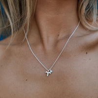 Silver Aries Horoscope & Birthstone Necklace