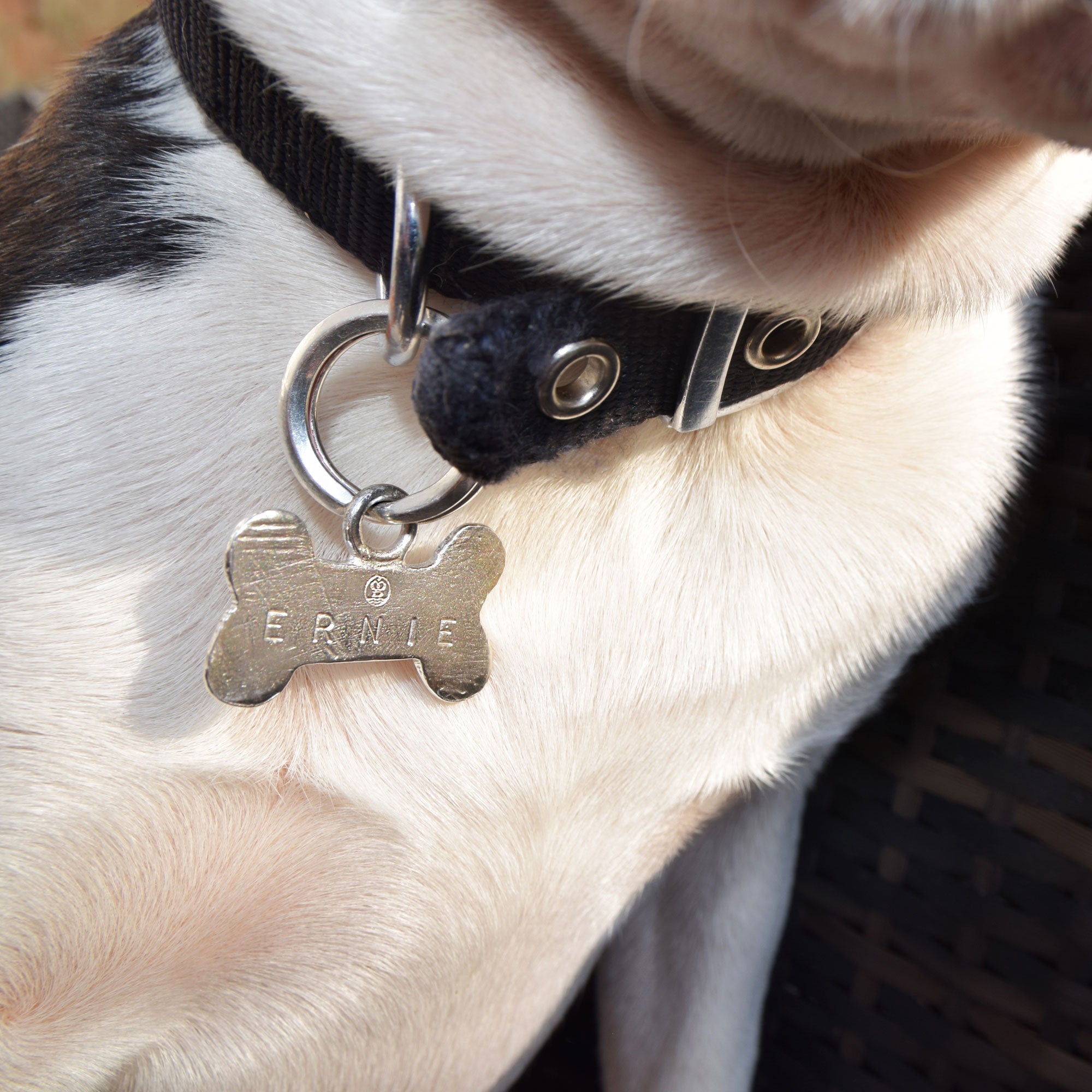 Silver Bone Dog Tag