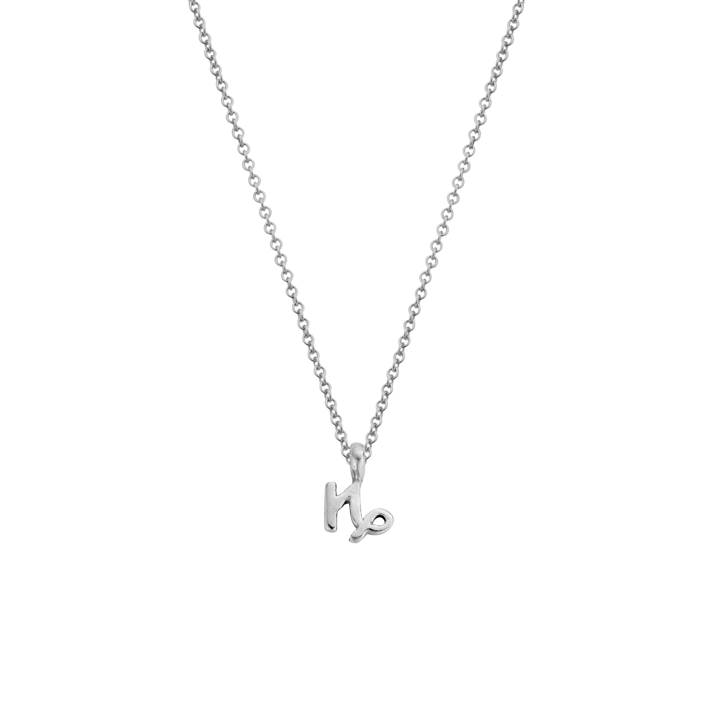 Silver Capricorn Mini Horoscope Necklace