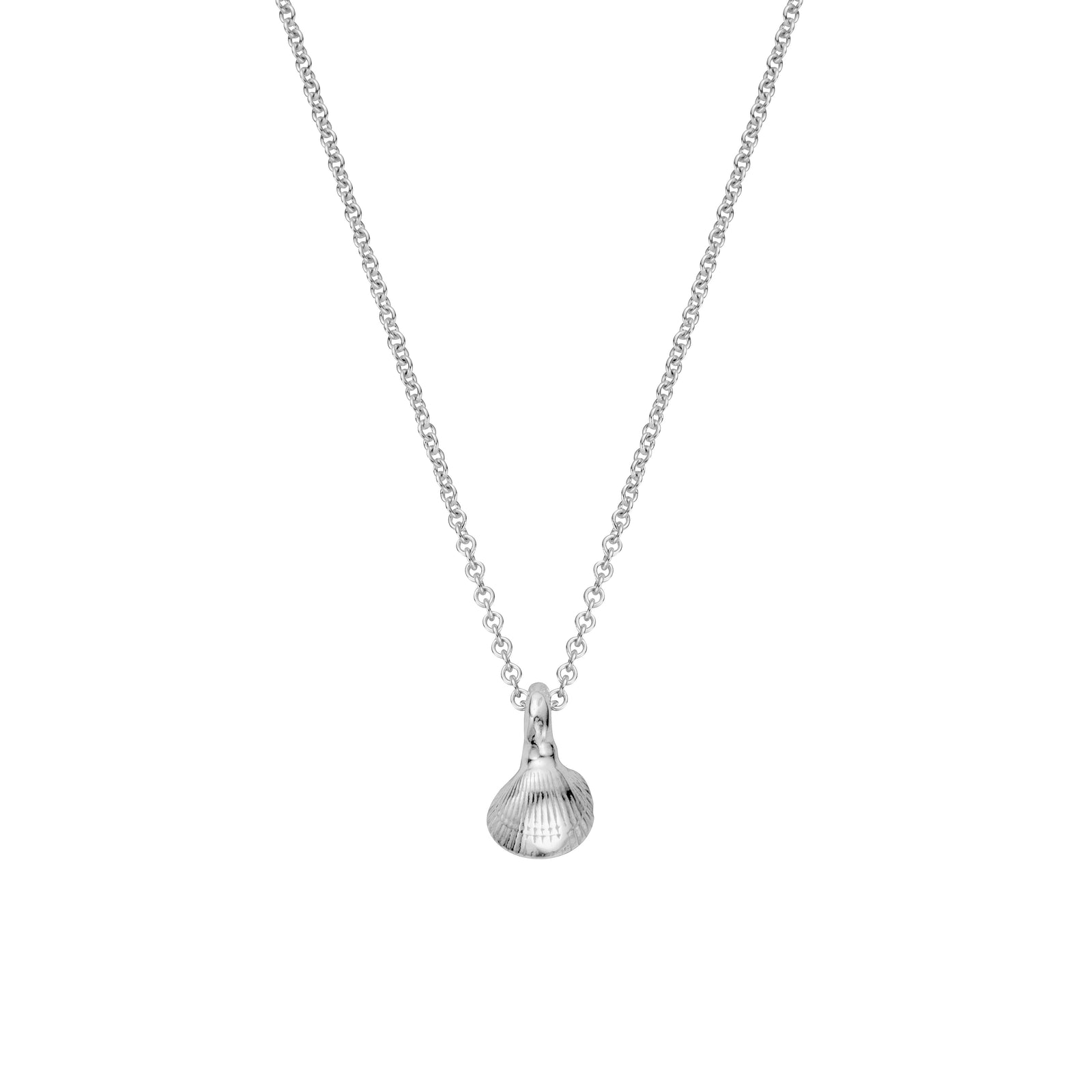 Silver Baby Shell Necklace