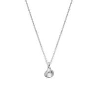 Silver Baby Shell Necklace