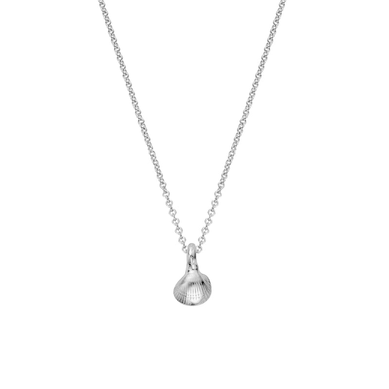 Silver Baby Shell Necklace